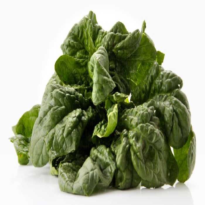 خرید و دانلود عکس Food-Part-22 کد 19911 | پیک فاکس | Pic Fox