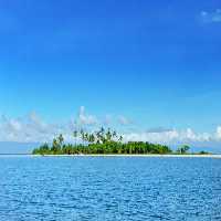 خرید و دانلود عکس Nature-Part-30 کد 36842 | پیک فاکس | Pic Fox