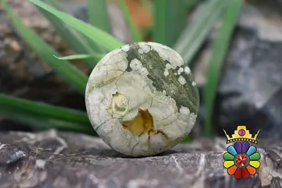 جاسپر جنگل بارانی(ریولیت استرالیا)