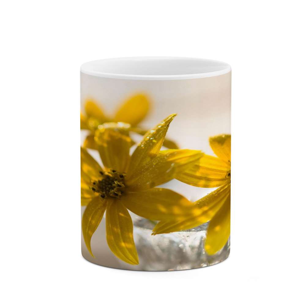 ماگ کاکتی طرح گل مدل mgs16204