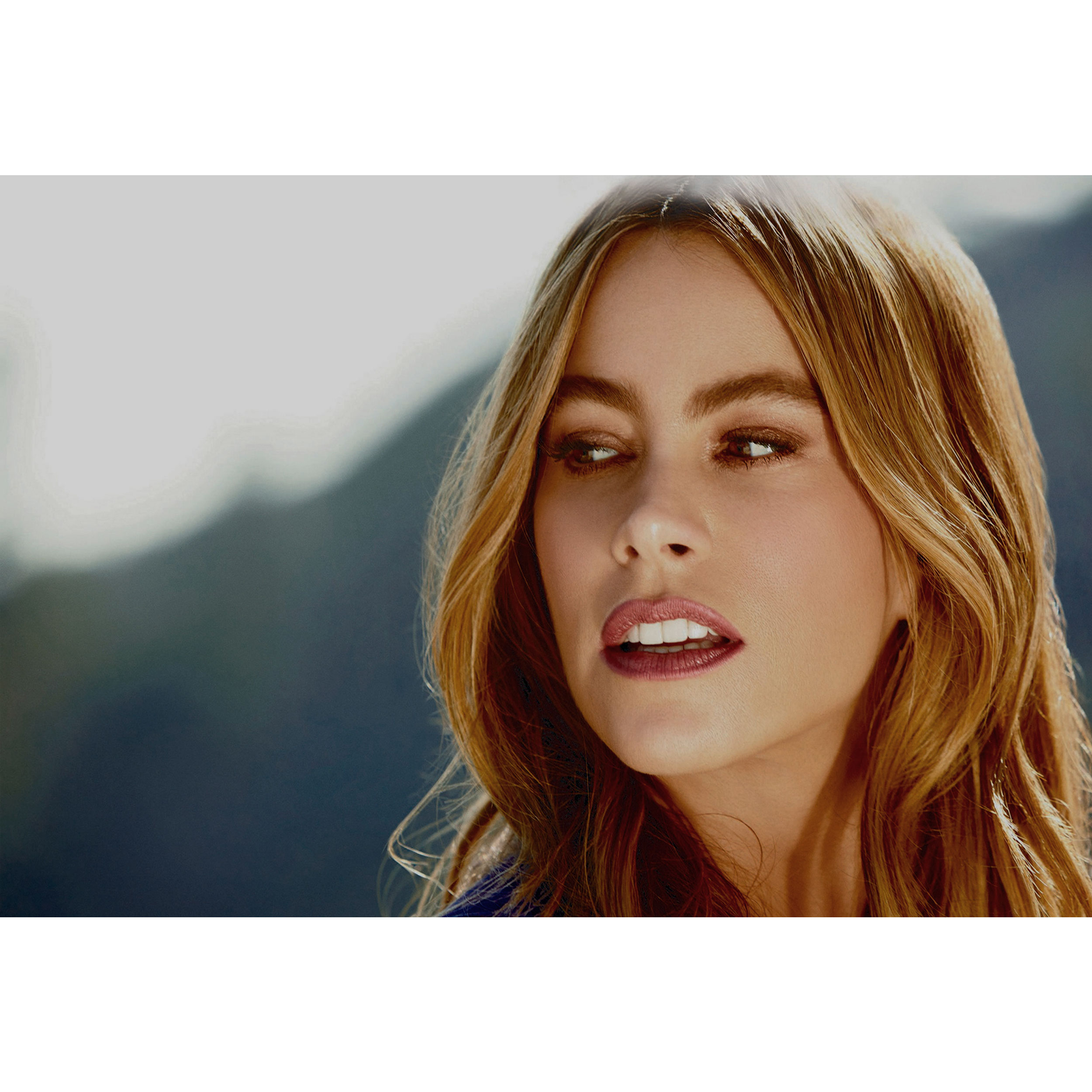 تابلو شاسی مدل بازیگر سوفیا ورگارا T6283