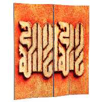 پاراوان مدل 1076