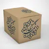 ست رومیزی 4 تکه شمسه نگار مدل TrS518