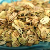 گلپر ( گل پر ) آسیاب نشده یک کیلویی گیاهینو