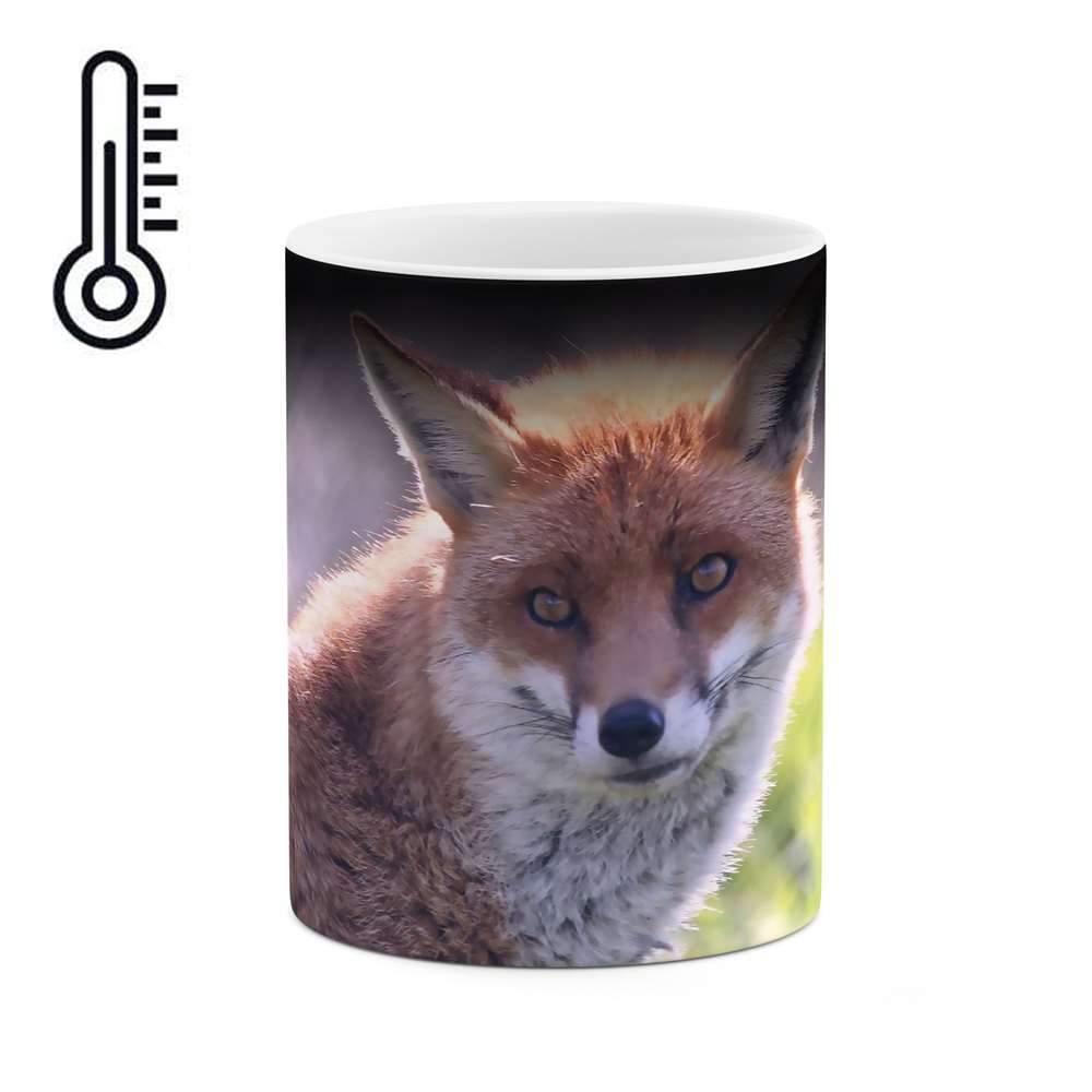 ماگ حرارتی مدل mgh03403