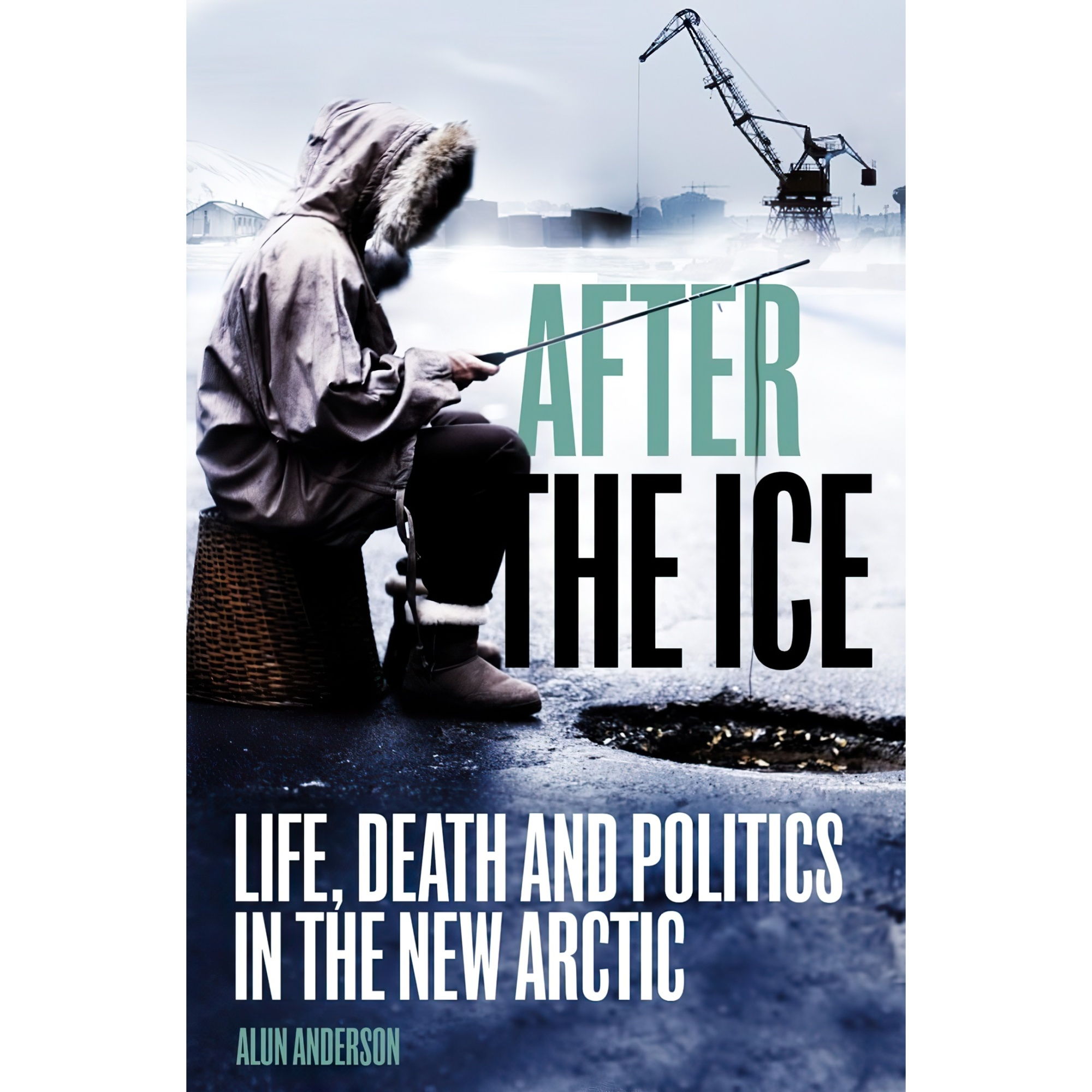 کتاب After the Ice اثر Alun Anderson انتشارات London: Virgin 2009