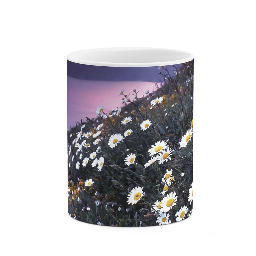 ماگ طرح گل مدل mgs07070