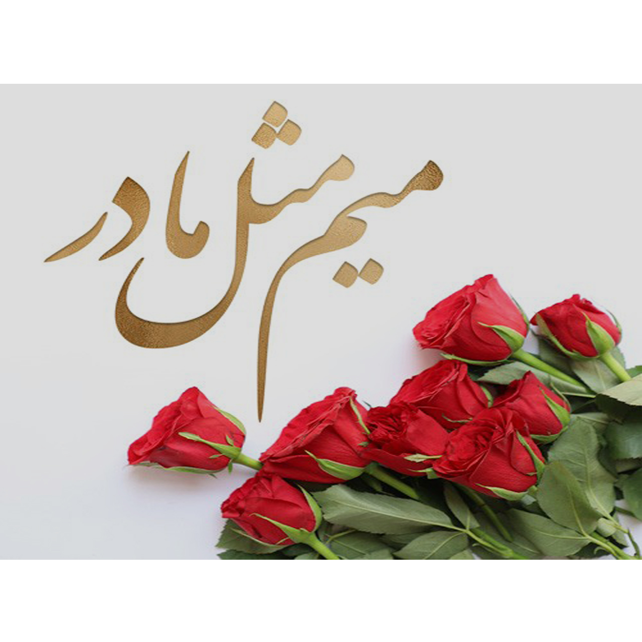تابلو شاسی کد S592