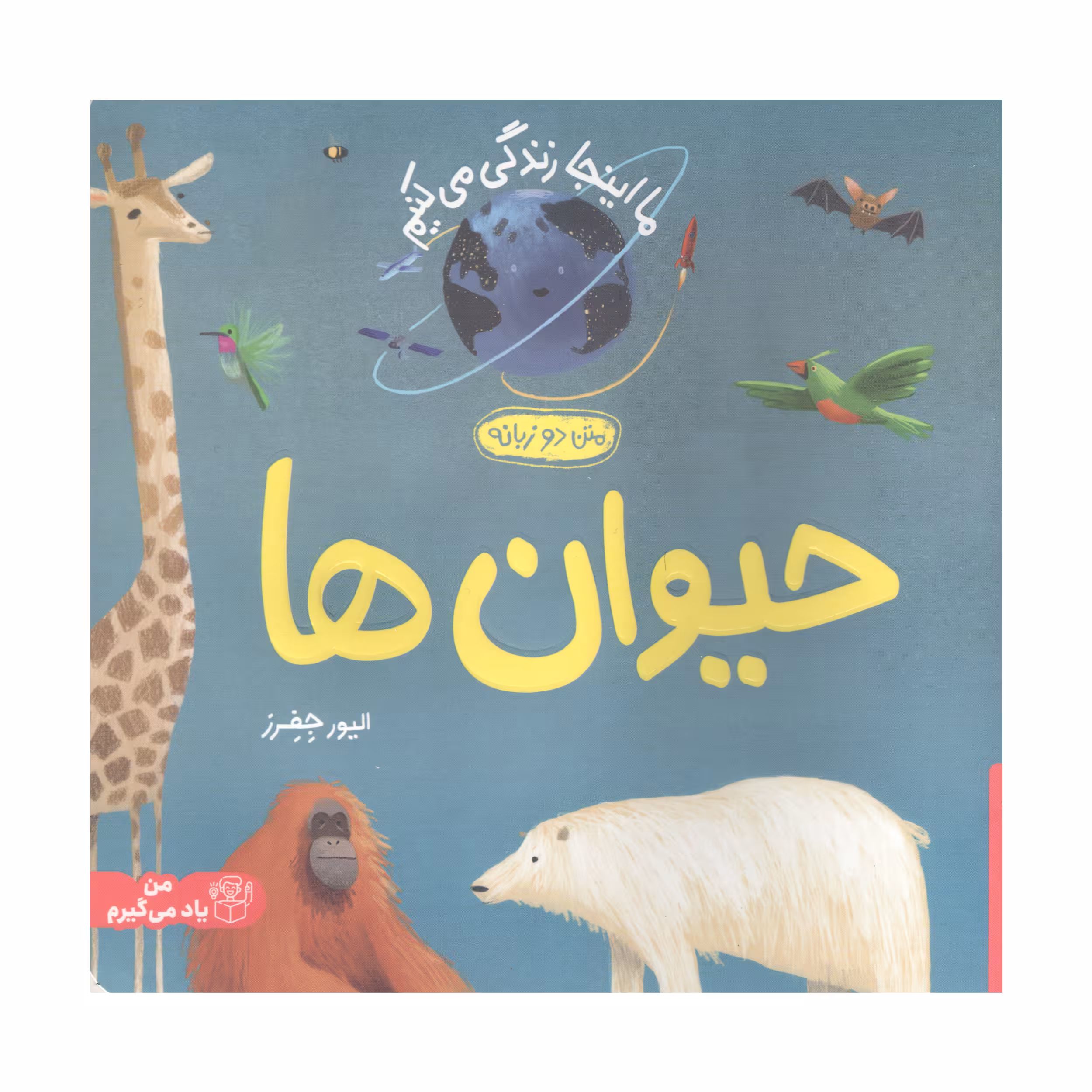 کتاب ما اینجا زندگی می کنیم حیوان ها اثر الیور جفرز انتشارات پرتقال