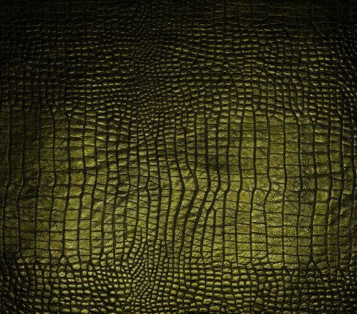 خرید و دانلود عکس ShutterStock-2014-Backgrounds & Textures کد 53550 | پیک فاکس | Pic Fox