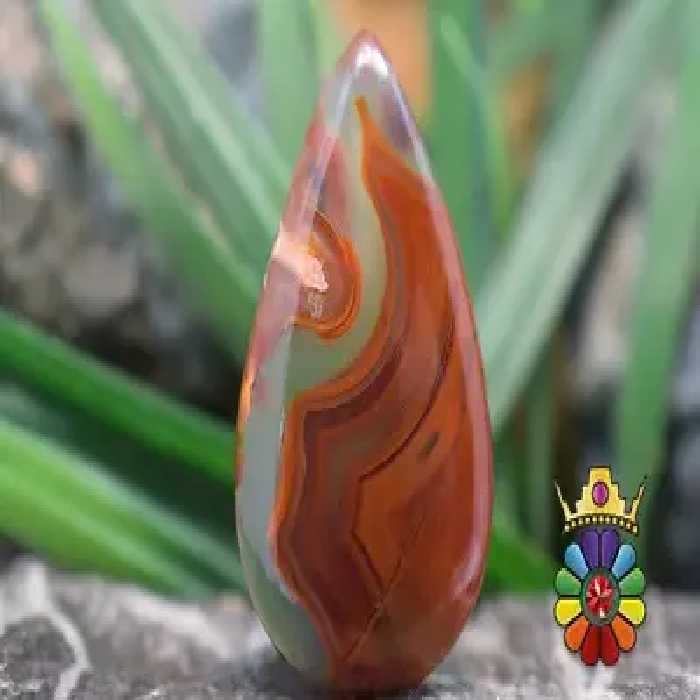 کرزی لس اگات