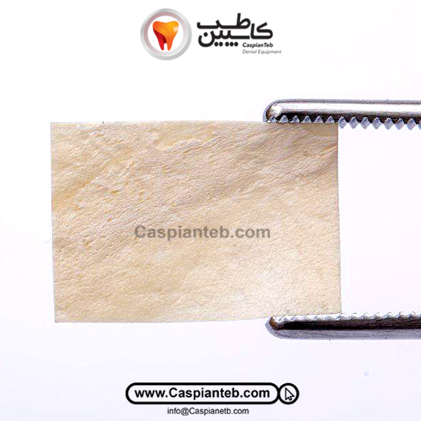 ممبرین فاشیالاتا Fascia lata | مشخصات، قیمت و خرید | کاسپین طب