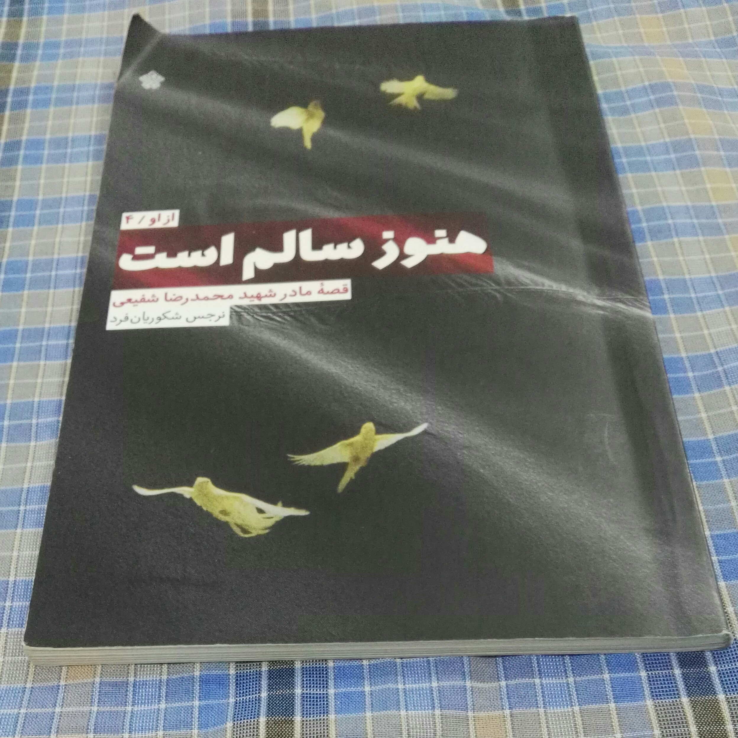 هنوز سالم است (کتاب چهارم قصه مادر شهید محمدرضا شفیعی)