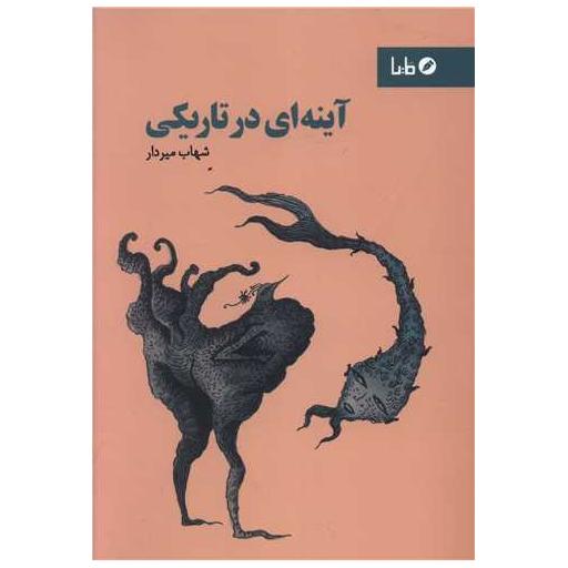 کتاب آینه ای در تاریکی اثر شهاب میردار