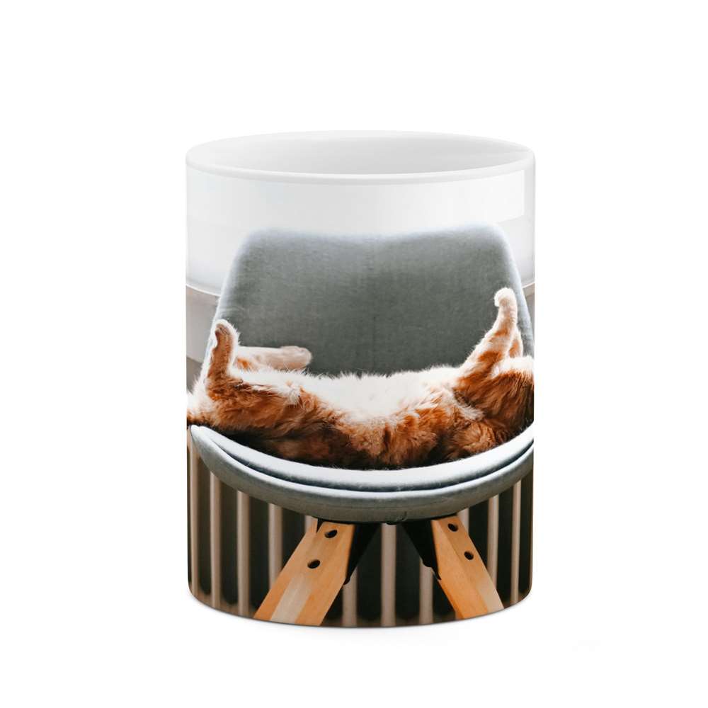 ماگ کاکتی طرح گربه مدل mgs14116