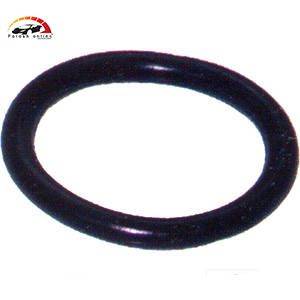 اورینگ درب ترموستات 1800