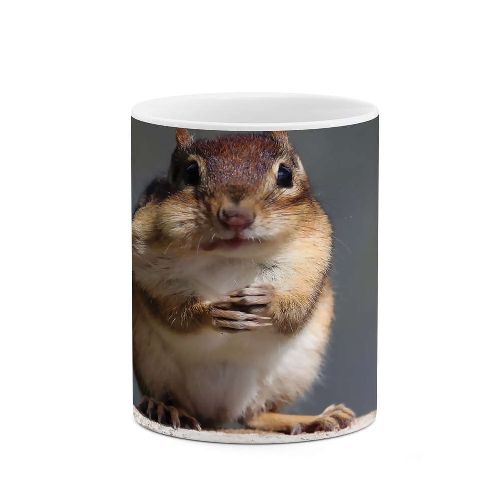 ماگ طرح سنجاب مدل mgs05184