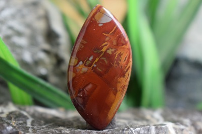 نورینا جاسپر