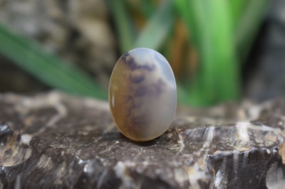 عقیق شجر برزیل