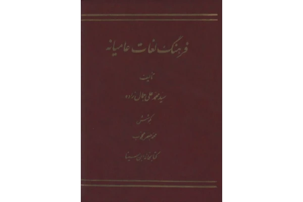 کتاب فرهنگ لغات عامیانه - کتابخانه مجازی واتیکان