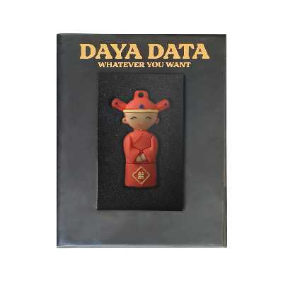 فلش مموری دایا دیتا طرح داماد مدل PF1011 ظرفیت 16 گیگابایت