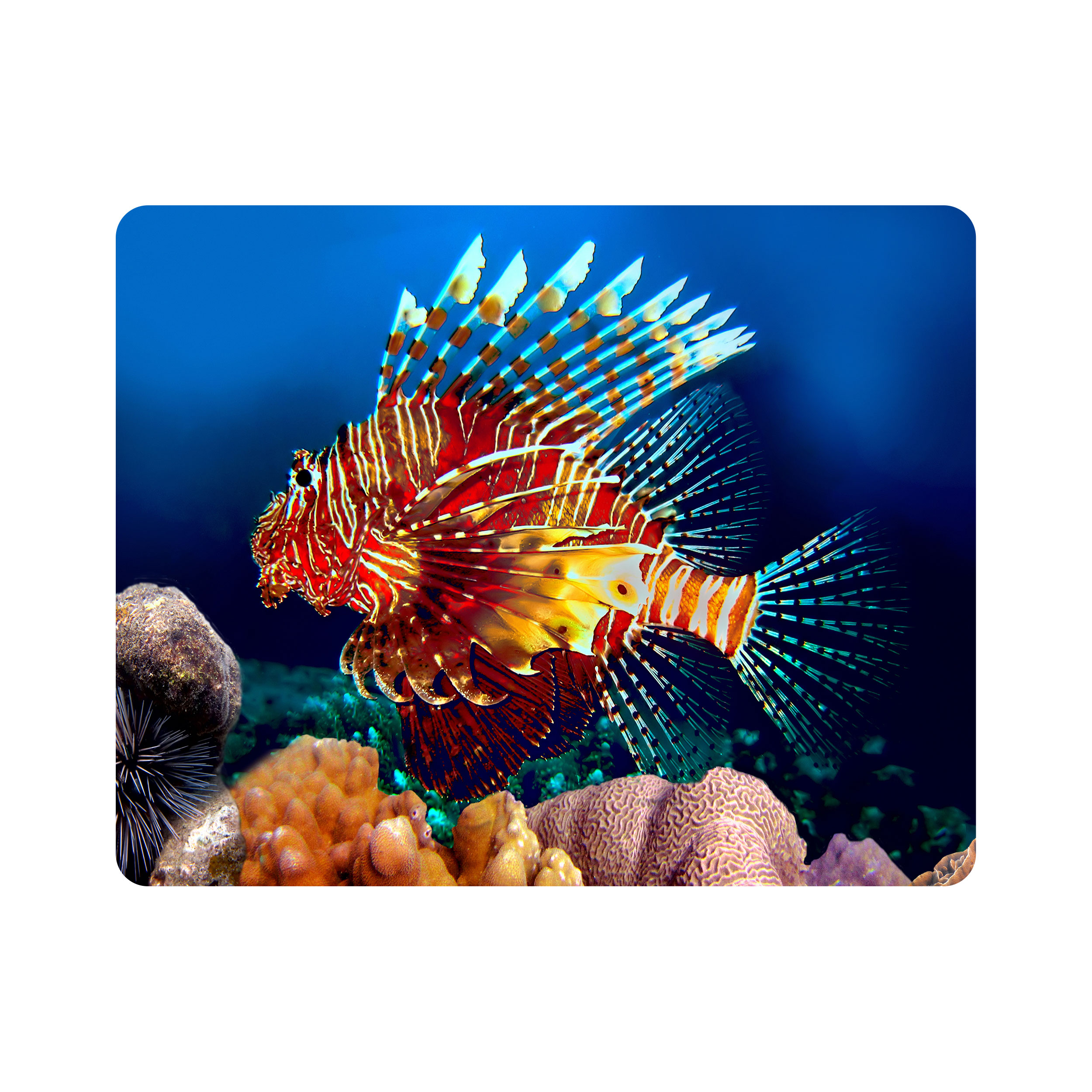 ماوس پد اطلس آبی طرح ماهی زیر دریا مدل T6902