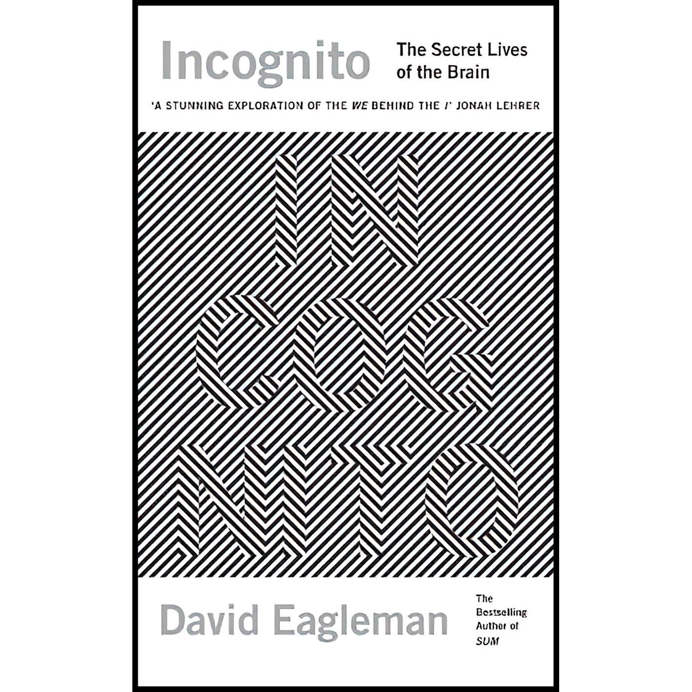 کتاب Incognito اثر David Eagleman انتشارات Canongate Books