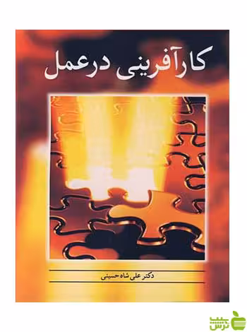 کارآفرینی در عمل علی شاه حسینی آییژ - سیب ترش - SibTorsh