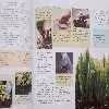 كتاب Late Spring اثر جمعي از نويسندگان انتشارات ریدرز دایجست