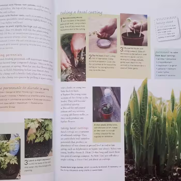 كتاب Late Spring اثر جمعي از نويسندگان انتشارات ریدرز دایجست