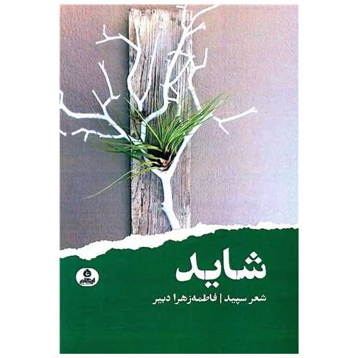 کتاب شاید اثر زهرا دبیر