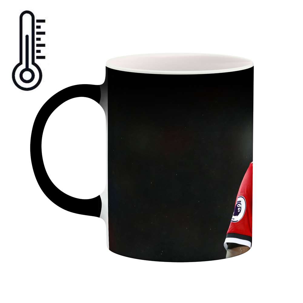 ماگ حرارتی طرح پوگبا  مدل mgph14940