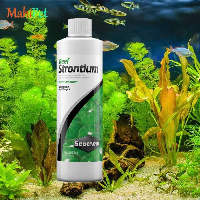 محلول افزایش استرانسیم آب شور سیچم seachem Reef Strontium سایز 250 میلی لیتر