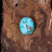 نگین فیروزه شجری کد 11464 - جواهری مشاهیر