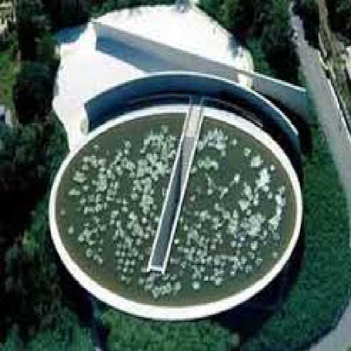 پاورپوینت همه چیز در مورد معبد آب