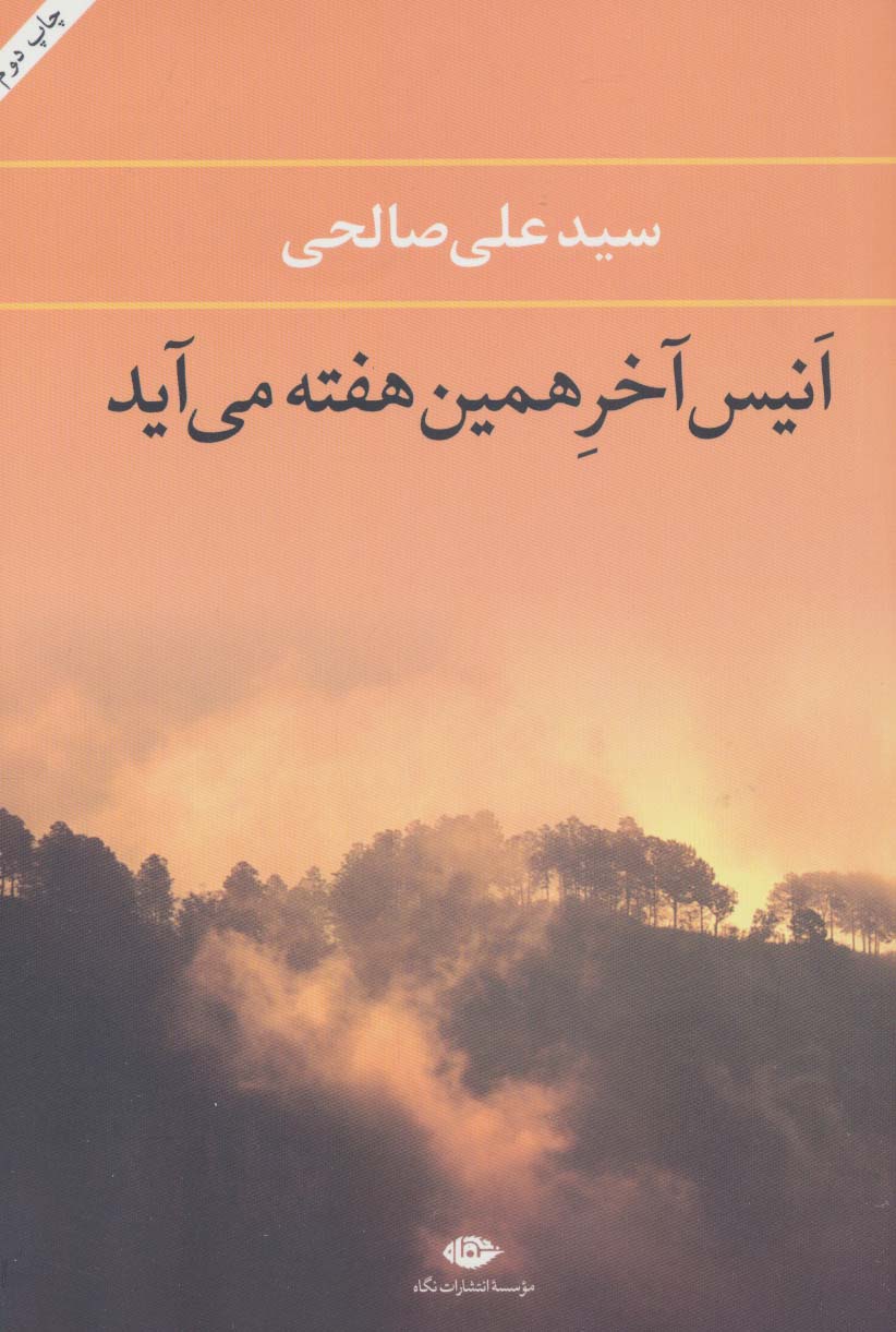 انیس آخر همین هفته می آید - ناشربوک | خرید آنلاین کتاب