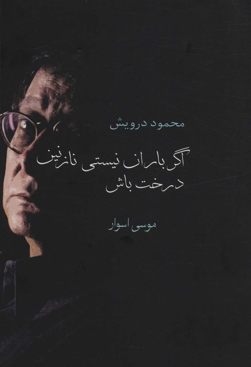 اگر باران نیستی نازنین درخت باش - ناشربوک | خرید آنلاین کتاب