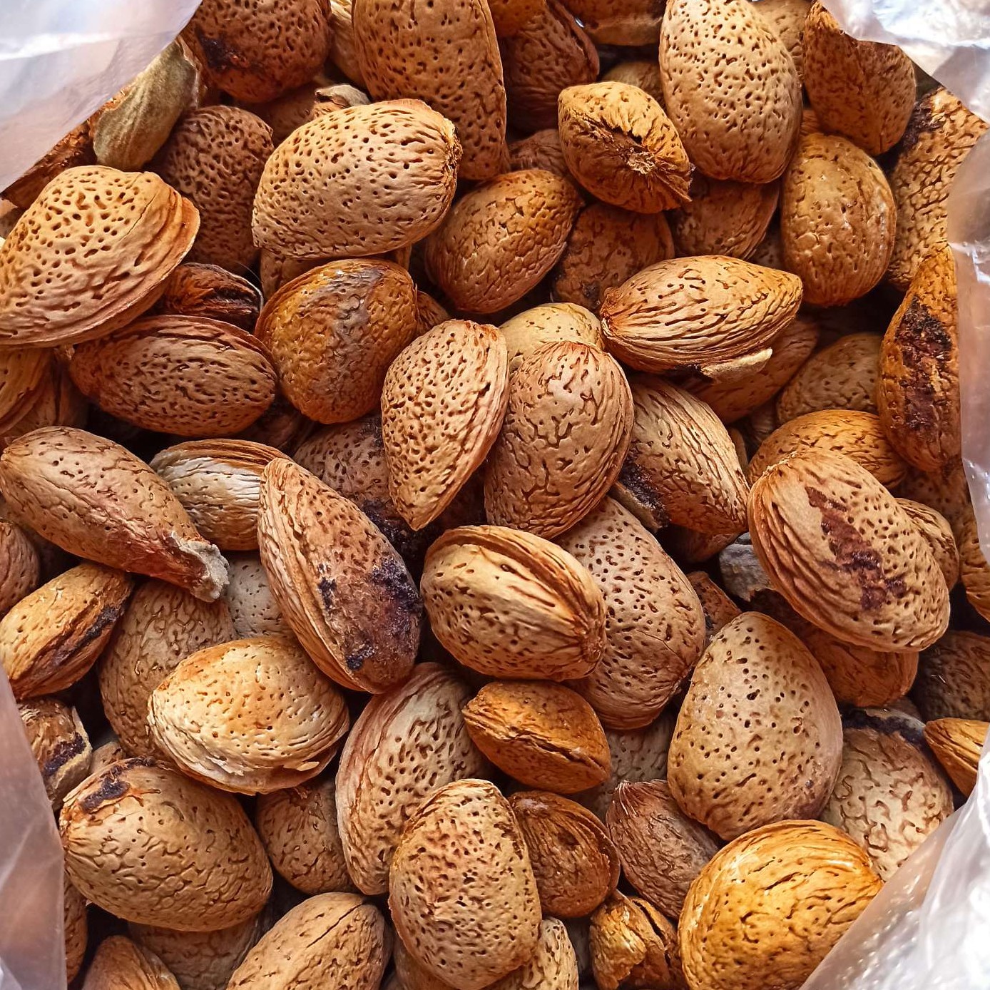 بادام سنگی پنج کیلویی