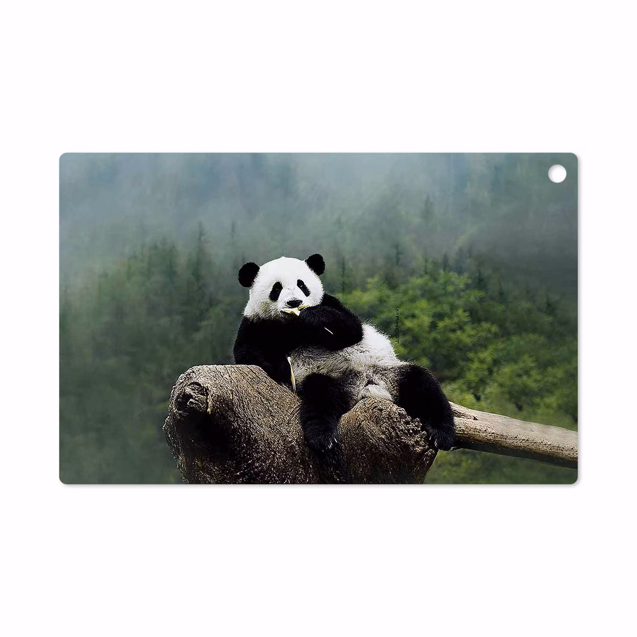 برچسب پوششی ماهوت مدل Panda مناسب برای تبلت سونی Xperia Z2 Tablet LTE 2014