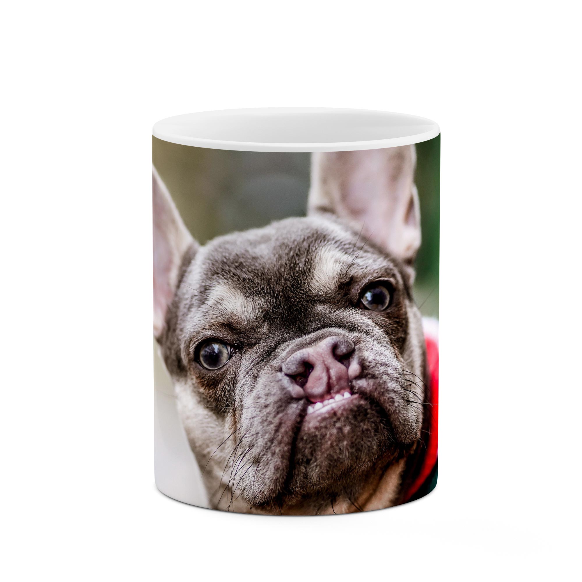 ماگ طرح سگ مدل mgp03133