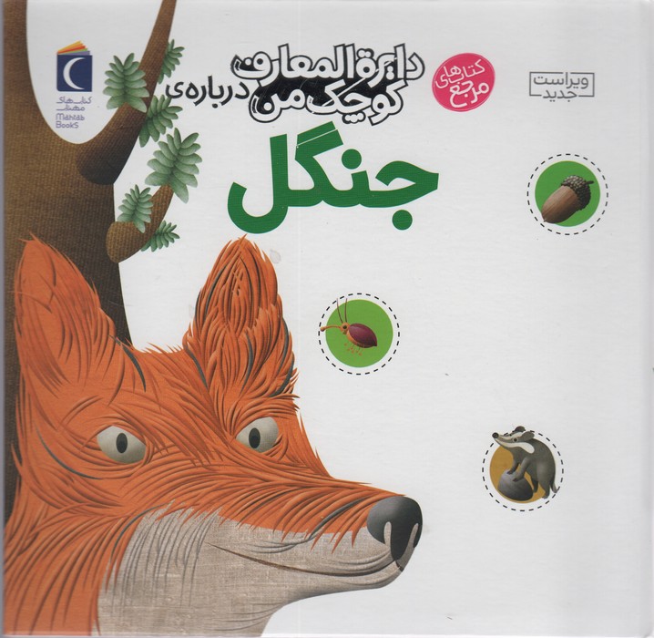 دایره المعارف کوچک من11 (درباره ی جنگل) - ناشربوک | خرید آنلاین کتاب
