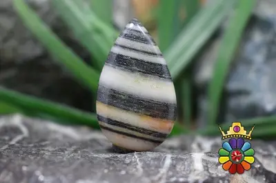 جاسپر گورخری (زبراجاسپر)