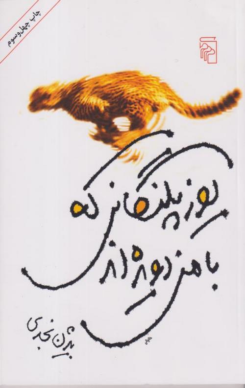 یوزپلنگانی که با من دویده اند
