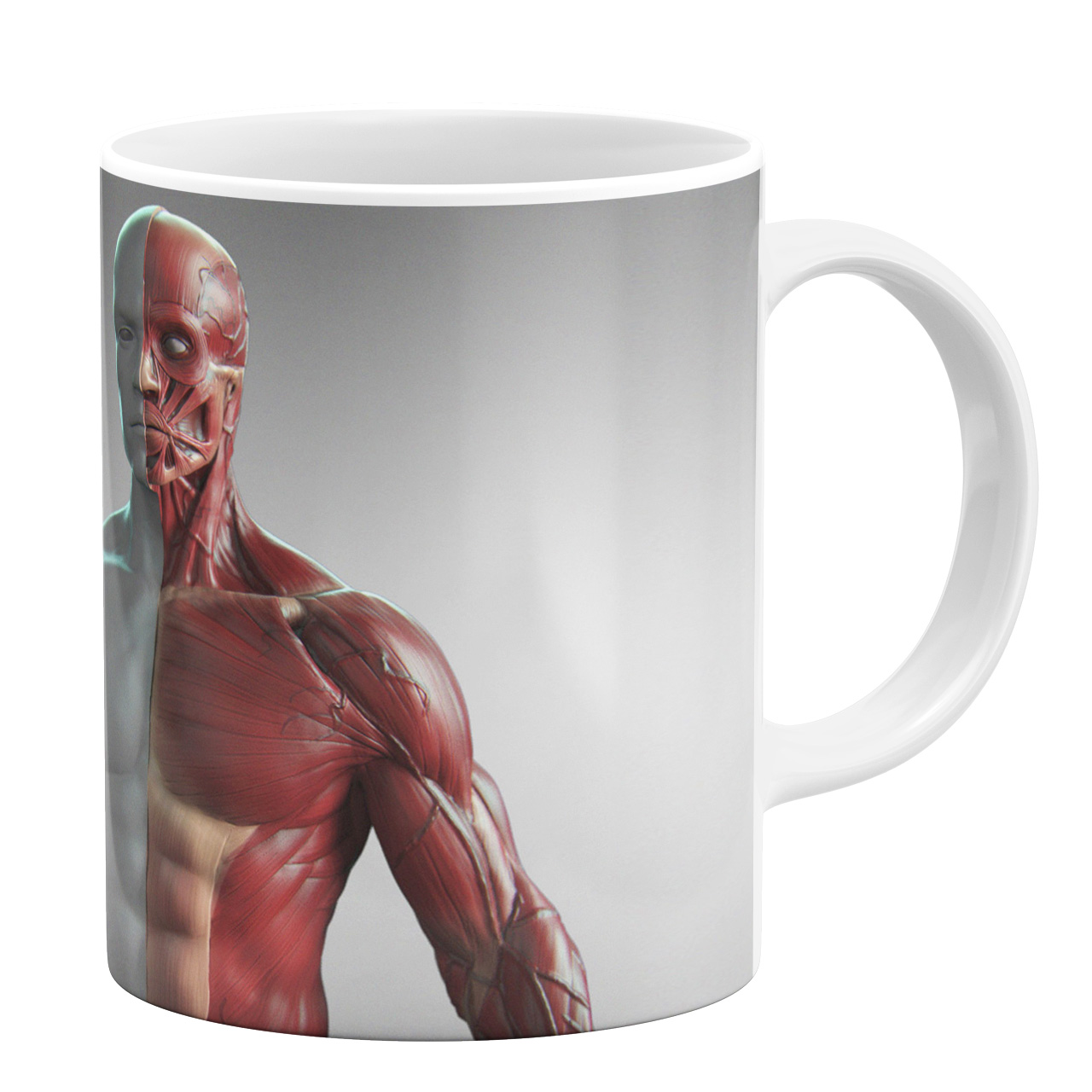 ماگ طرح آناتومی کد 110030