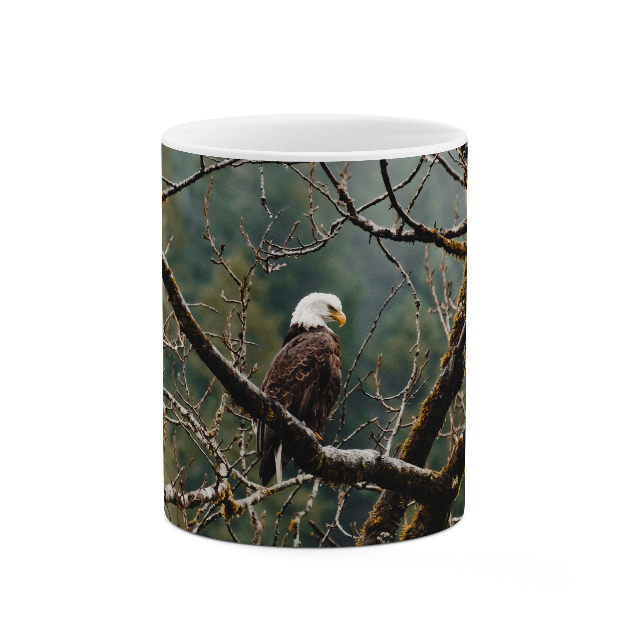 ماگ طرح عقاب مدل mgp02793