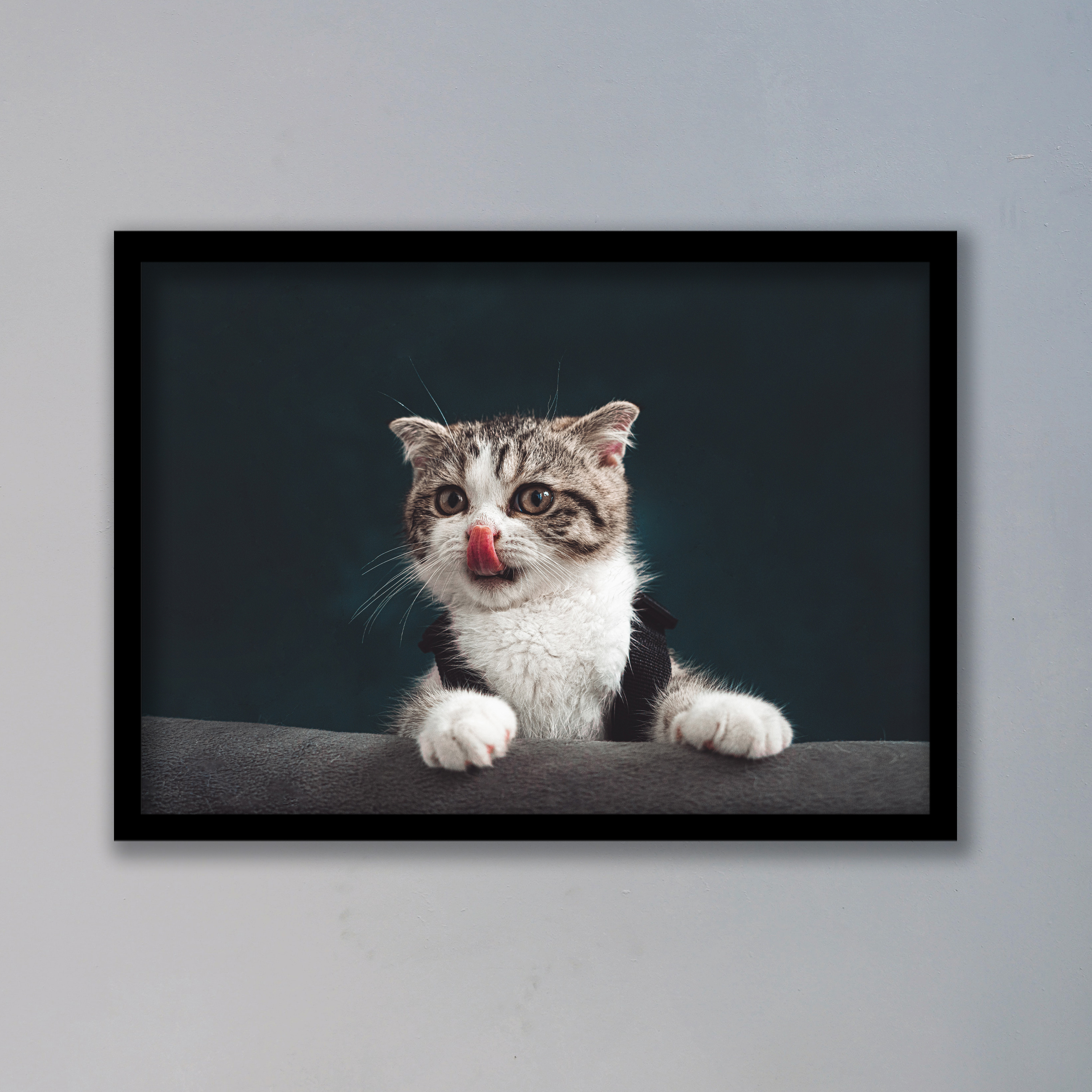 تابلو مدل گربه کد LA-G10169