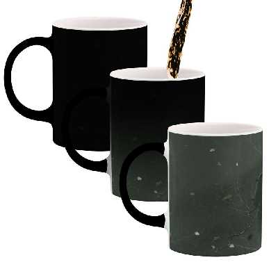 ماگ حرارتی کاکتی طرح فانتزی مدل mgh16459