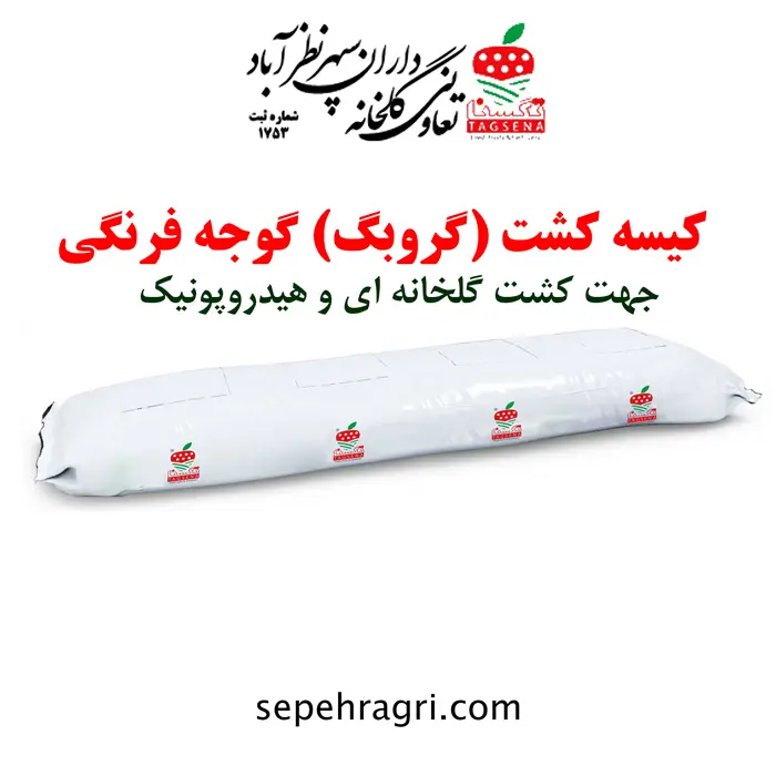 گروبگ یا کیسه کشت گوجه فرنگی | خرید و قیمت گروبگ گوجه فرنگی