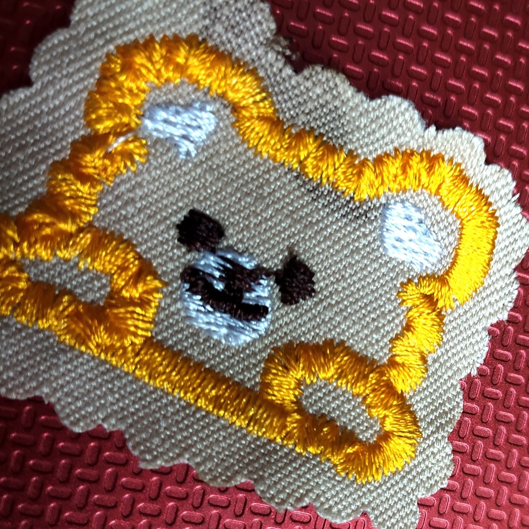 طرح تدی