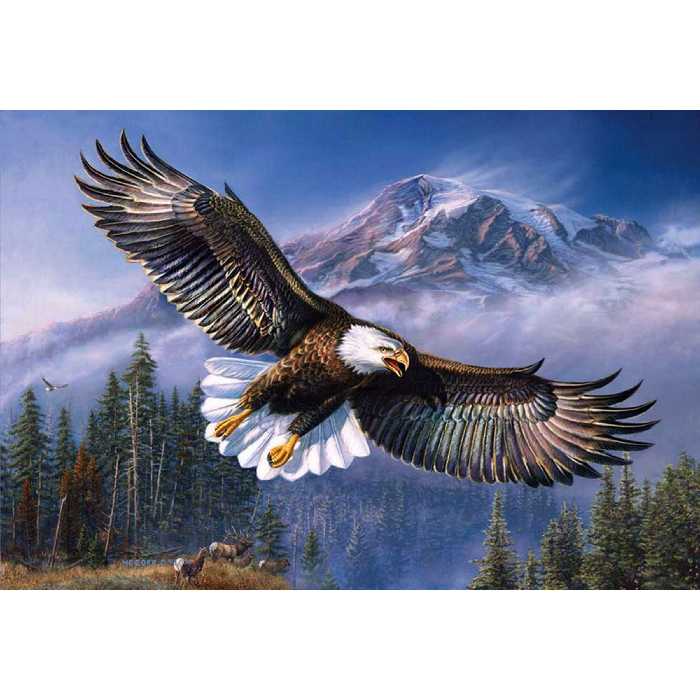 تابلو شاسی طرح پرنده عقاب کوه مدل T1448